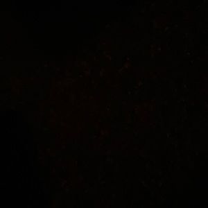 Meet your Posher, Femi